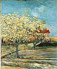 Orchard Canvas Paintings - Orchard in Blossom 2
